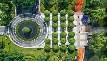 au the sunflower location